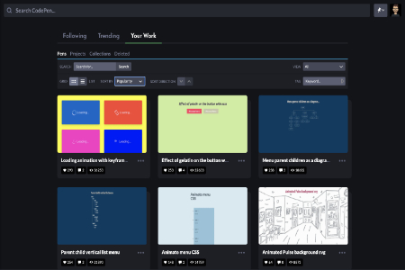 Image Codepen